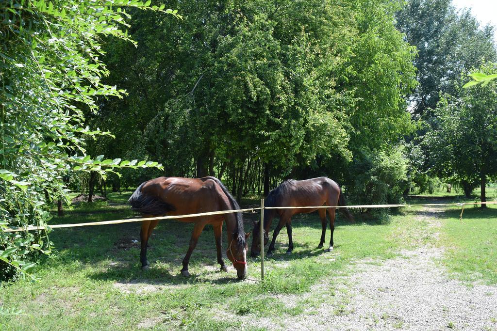 Agriturismo Tre Rondini Леньяґо Екстер'єр фото