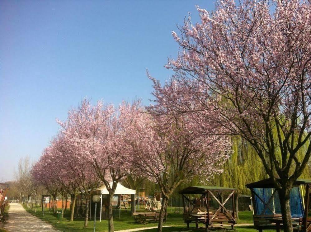 Agriturismo Tre Rondini Леньяґо Екстер'єр фото